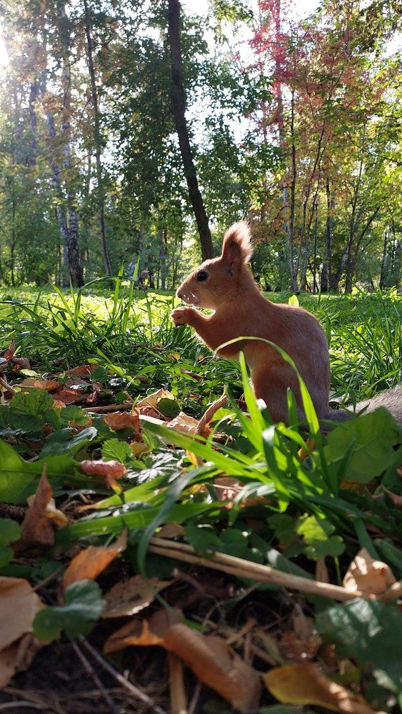 Photograph by Савина Татьяна Александровна