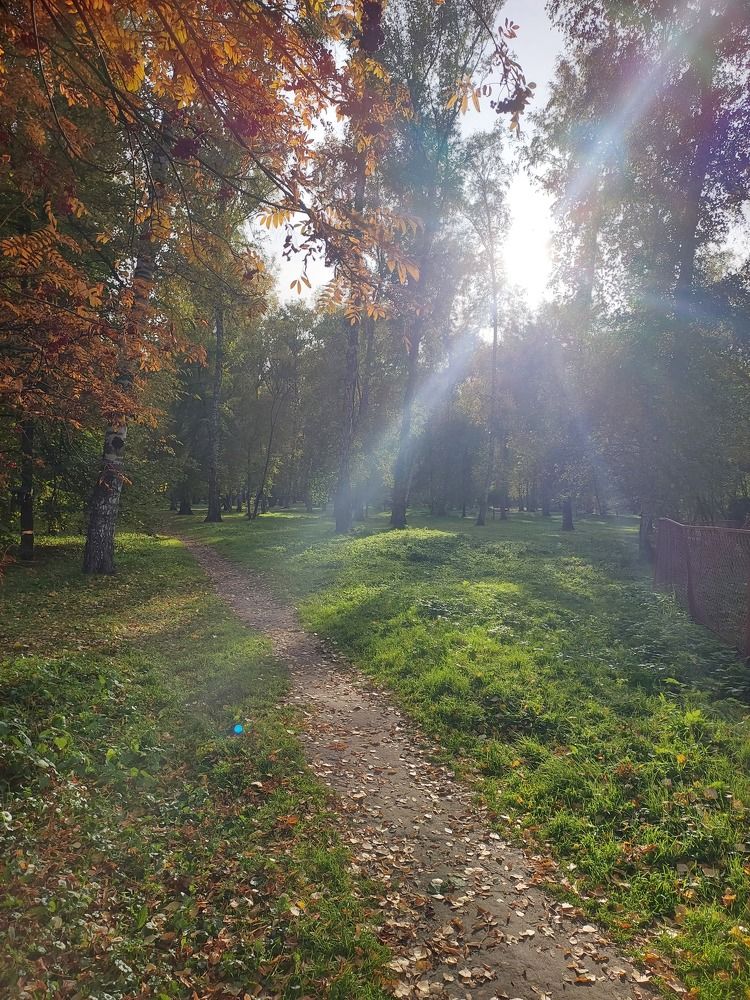 Photograph by Савина Татьяна Александровна