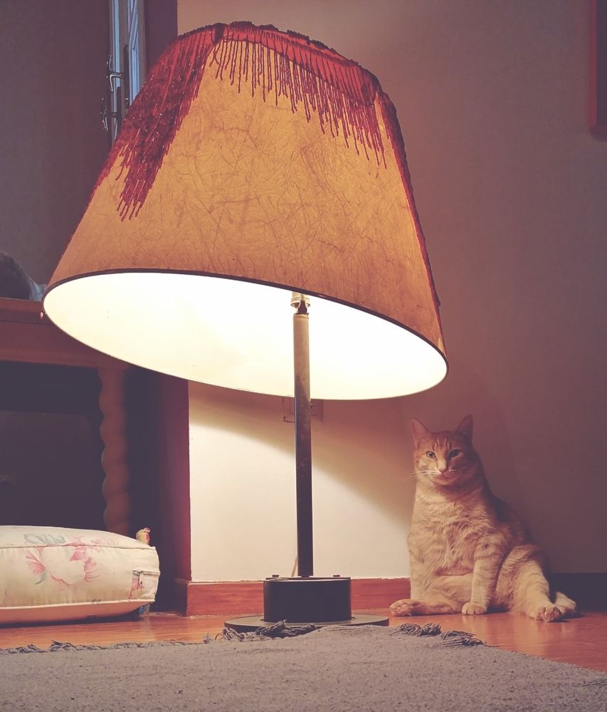 Photograph by Chami Maria