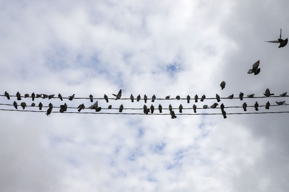 Photograph by Юлия Яковлева