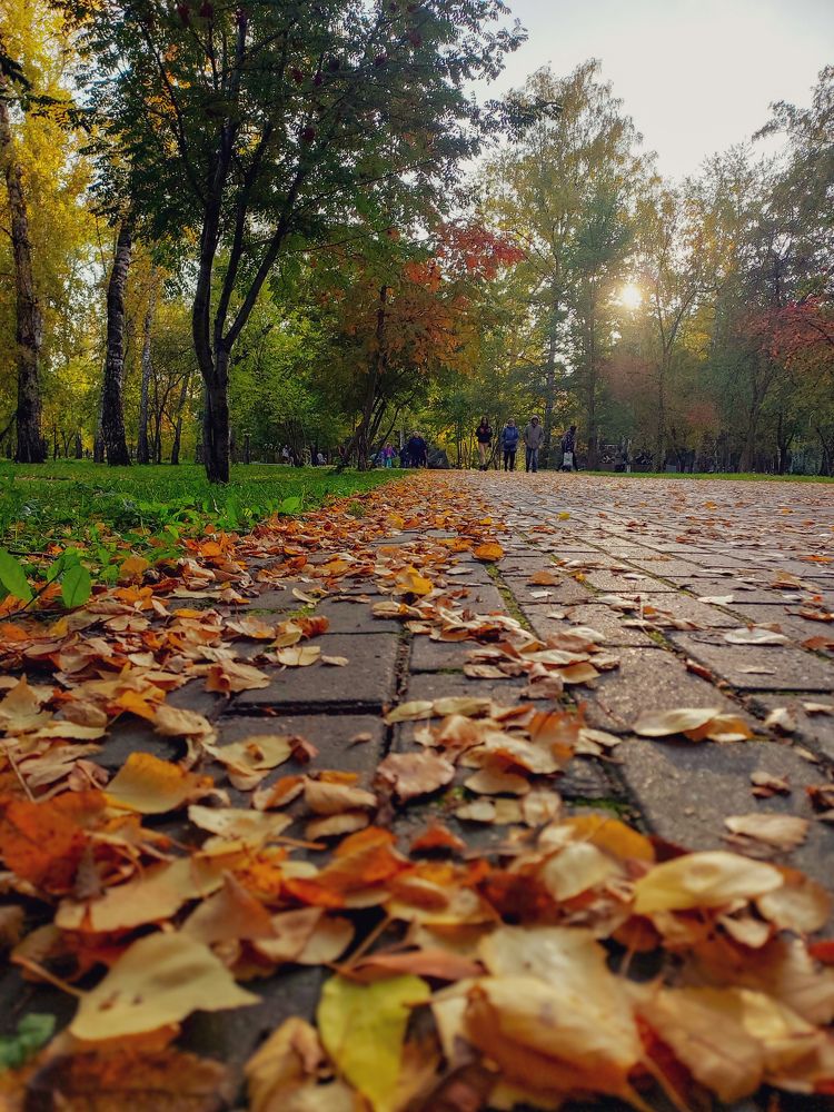 Photograph by Савина Татьяна Александровна
