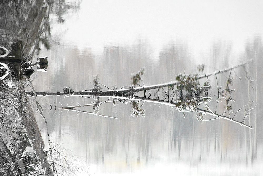 Photograph by Игорь Меньшенин