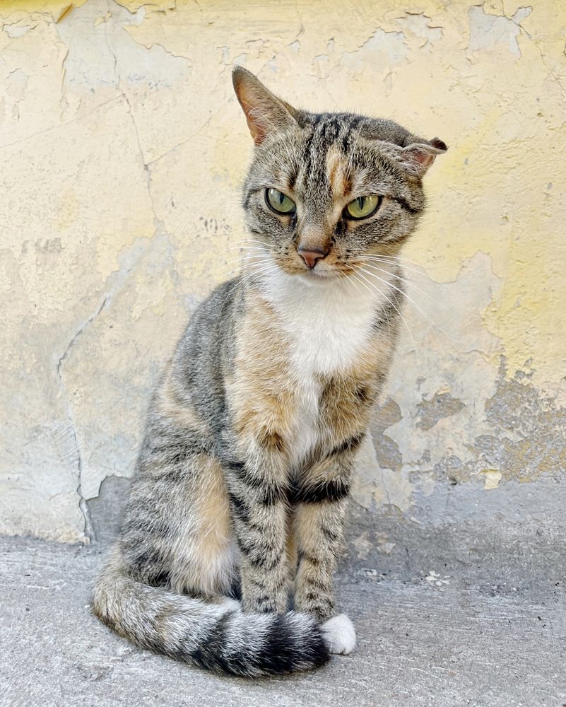 Photograph by Мария Байбарина