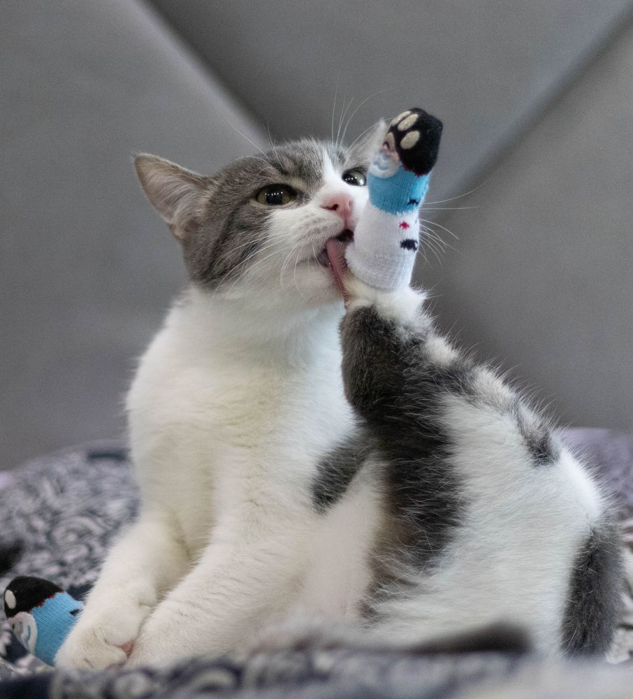 Фотография автора Виталий Панченко