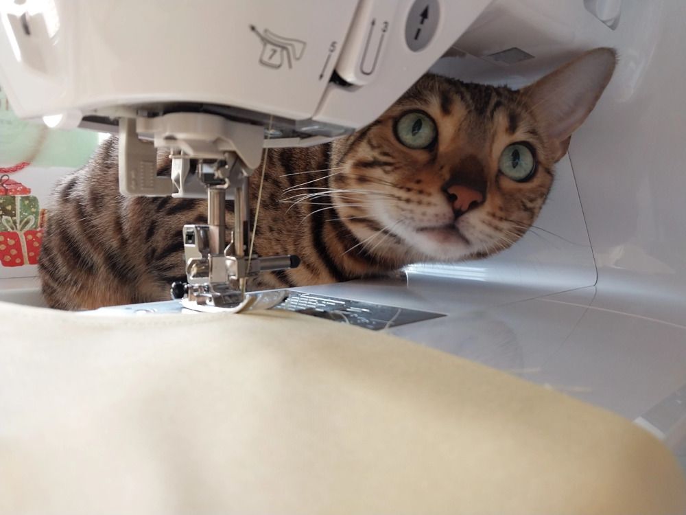 Photograph by Юлия Фирман