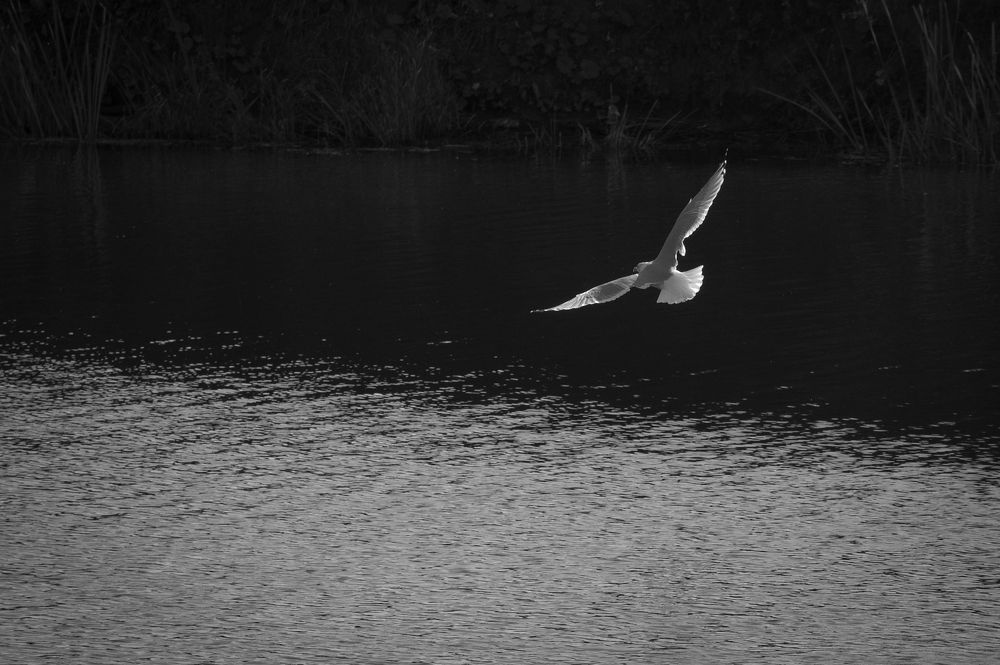 Photograph by Екатерина Рябинина