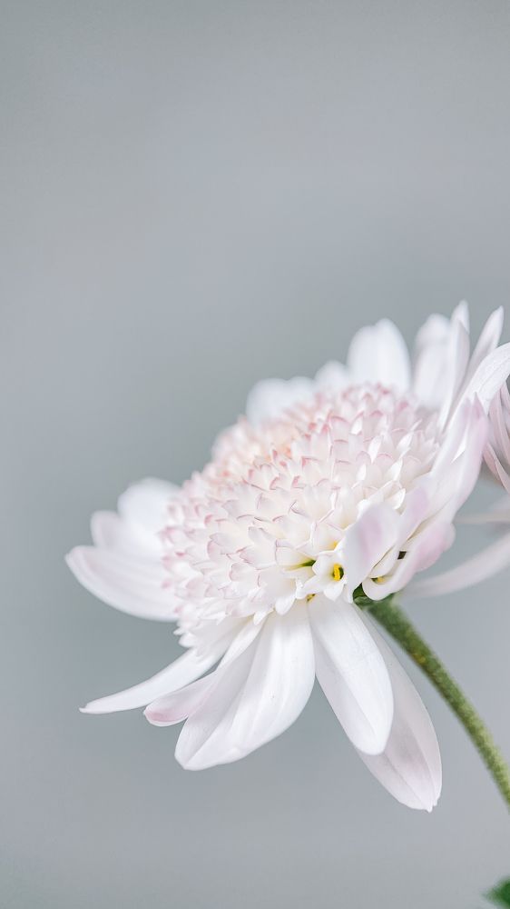 Photograph by Наталья Ключинская