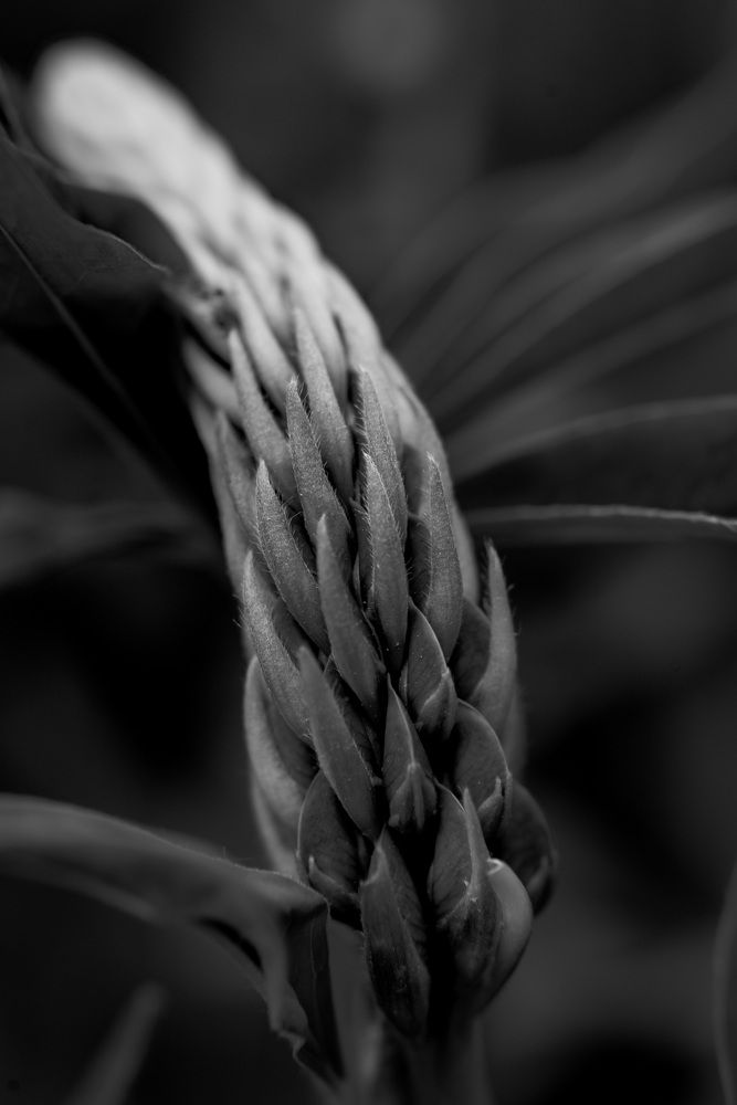 Photograph by Евгения Ерофеева