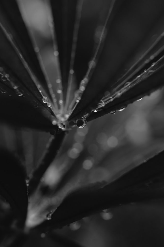 Photograph by Евгения Ерофеева