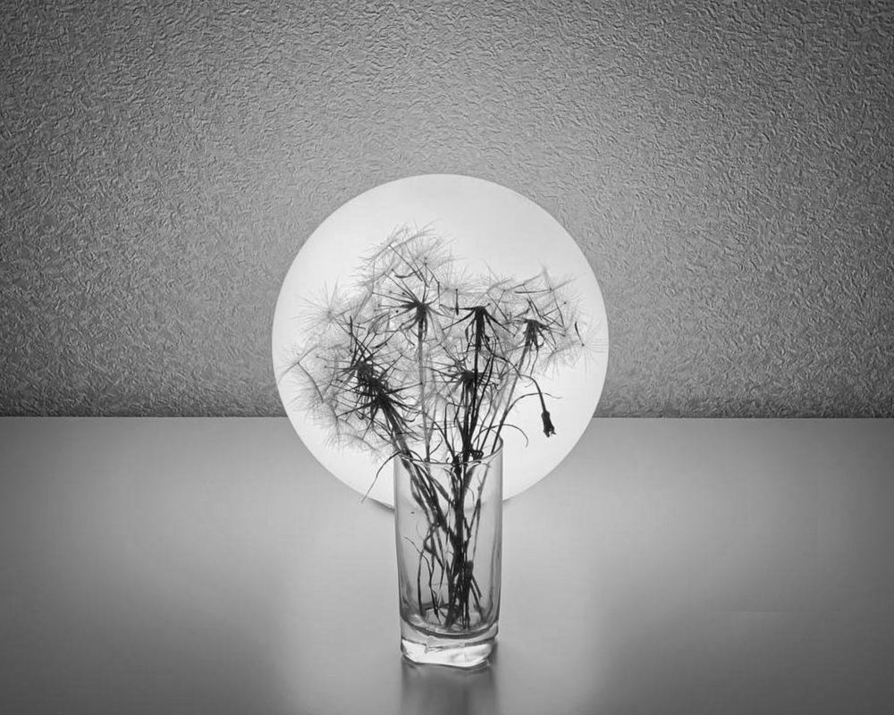 Photograph by Надежда Смирнова