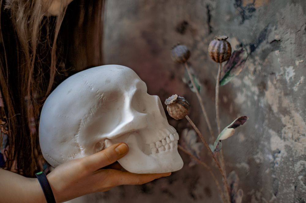 Фотография автора Николай Нестеренко