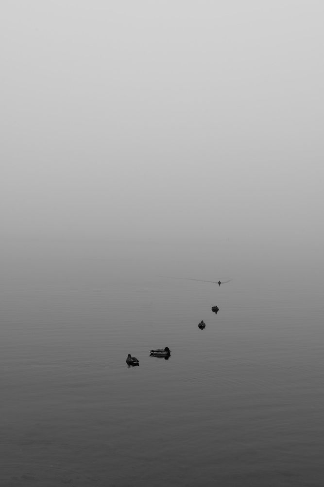 Photograph by Евгения Ерофеева