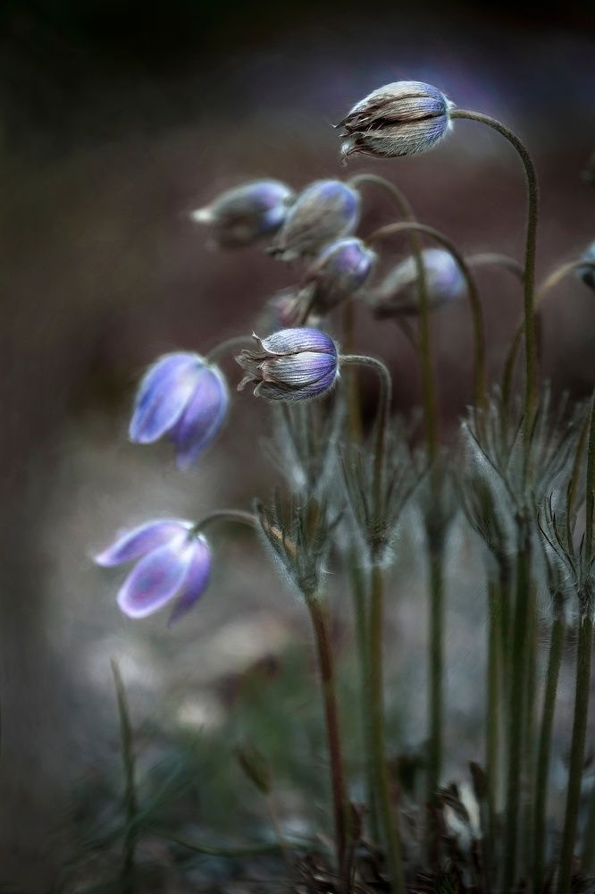 Фотография автора Волошин Андрей