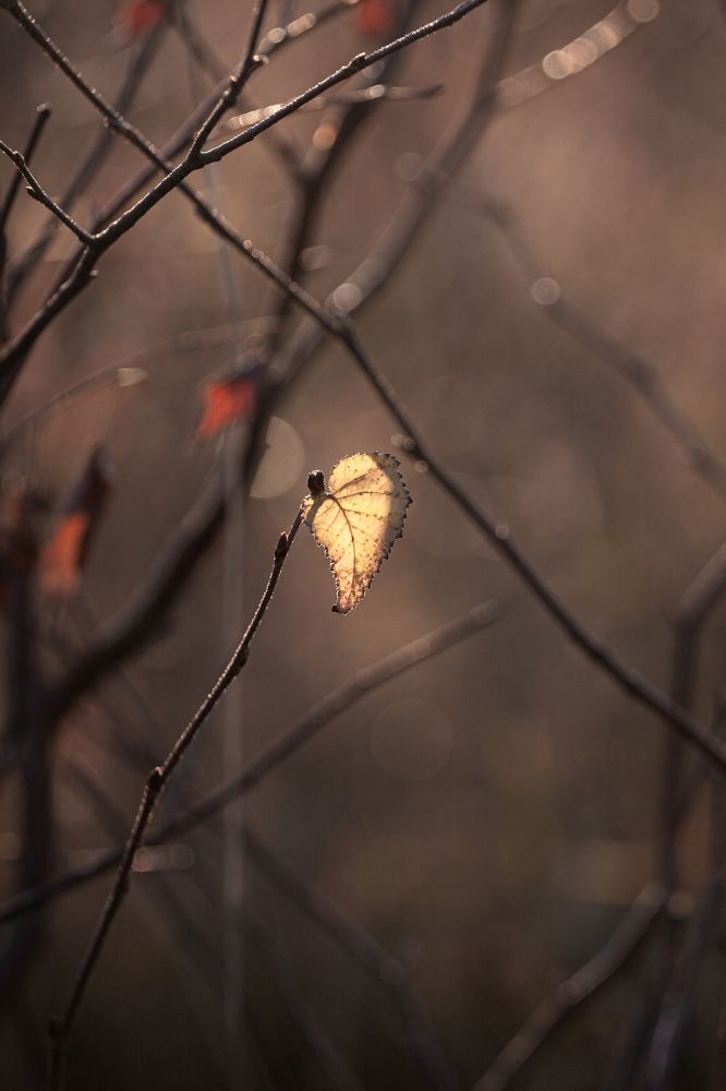 Photograph by Наталья Островцева