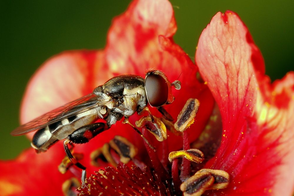 Photograph by Виктор Ноговицин