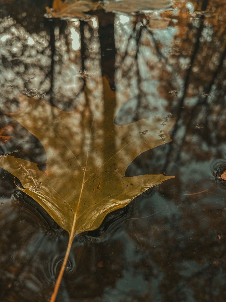 Photograph by Татьяна Кузнецова