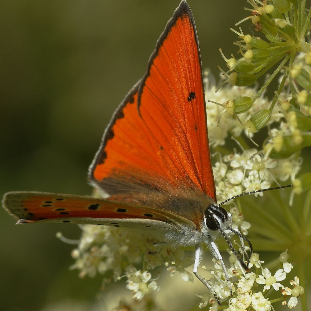Photograph by Виктор Ноговицин