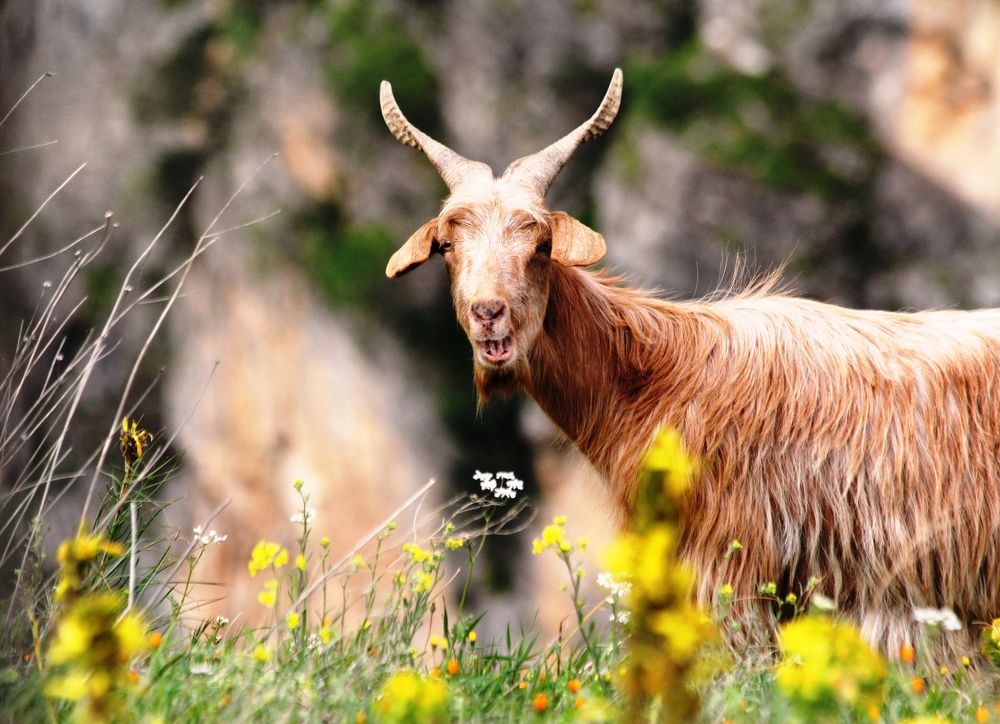 Photograph by Nadzeya