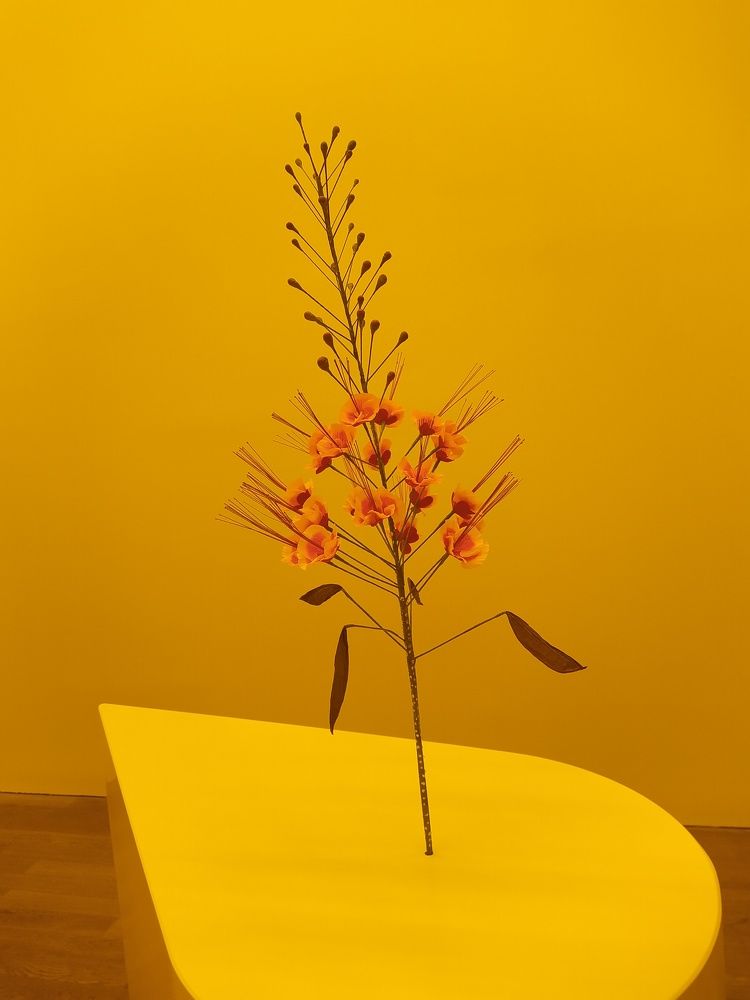 Фотография автора Inna Osminina