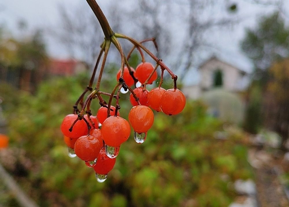 Photograph by Александр Коркин