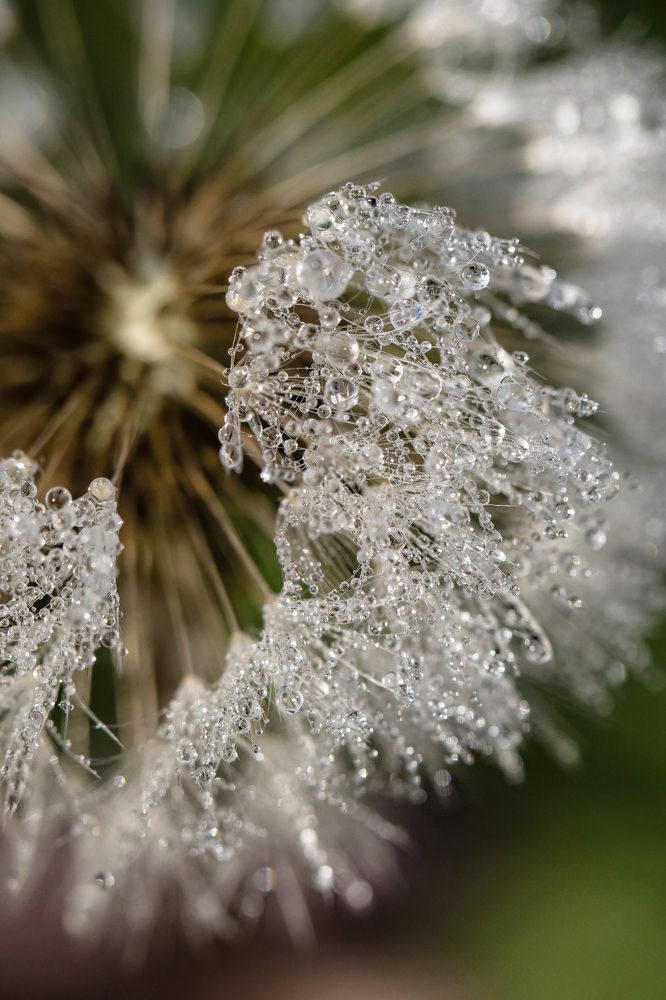 Фотография автора Мария Сурмачева