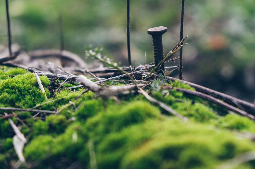 Photograph by Юрий Требухин