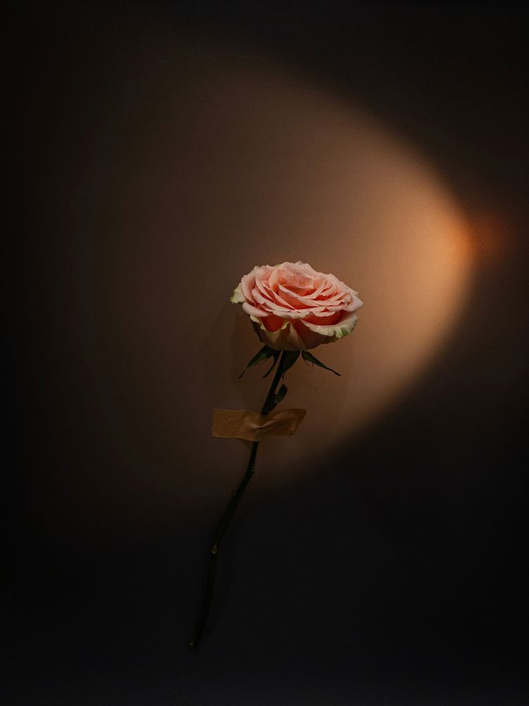 Photograph by Агата Никишина