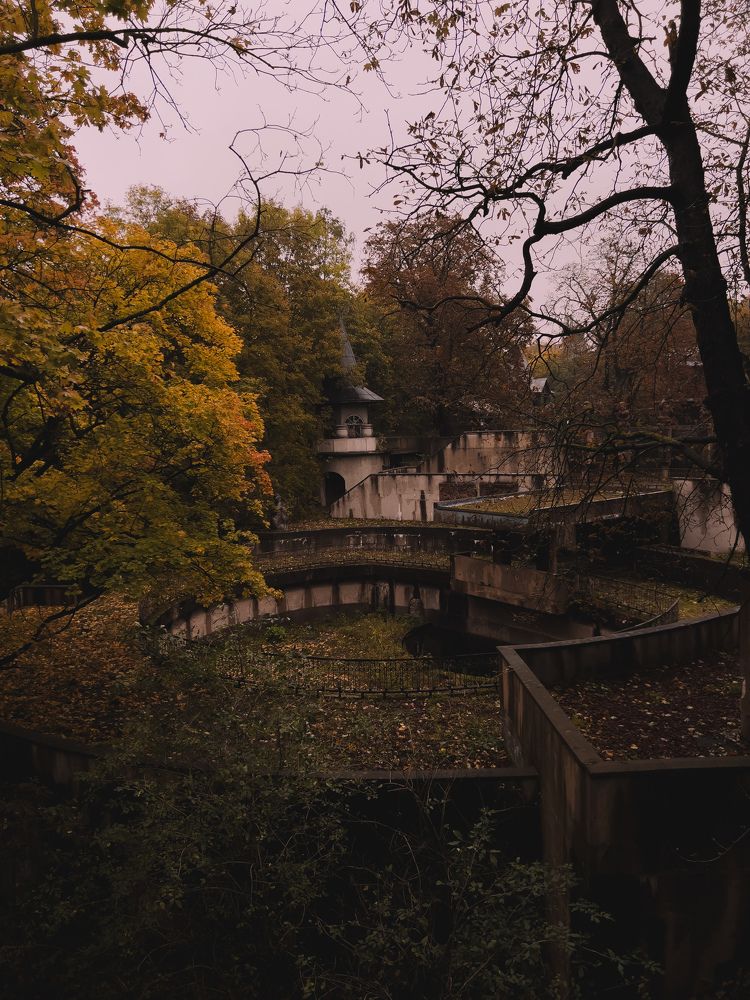 Photograph by Алиса Нежинская