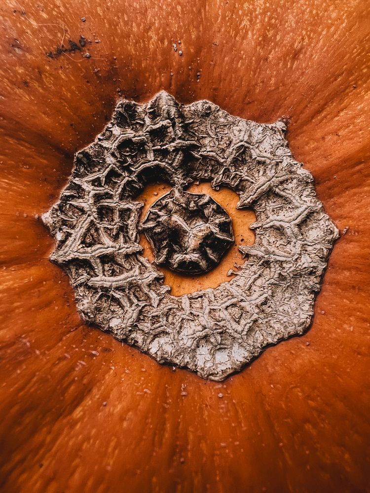 Photograph by Алиса Нежинская