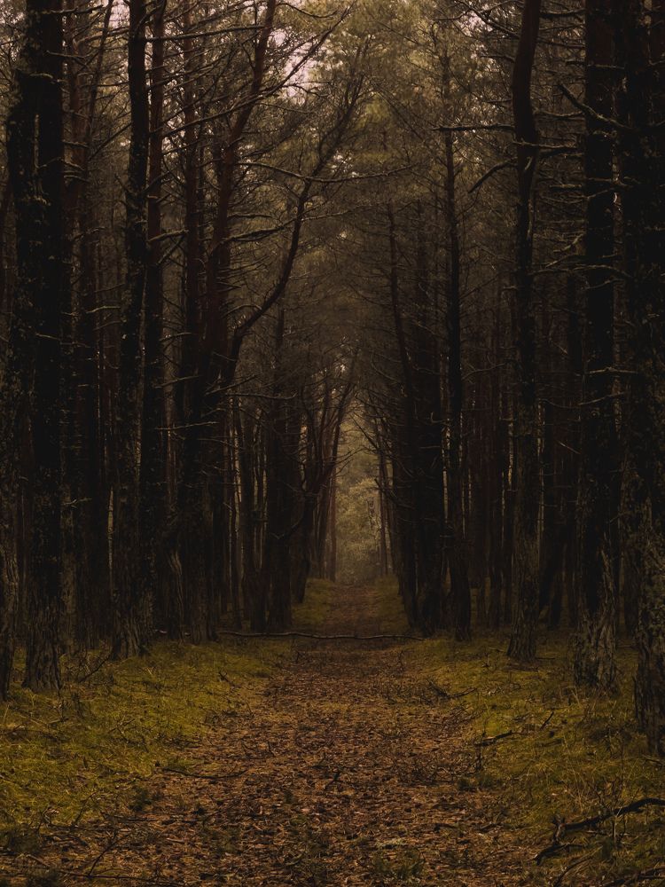 Photograph by Алиса Нежинская