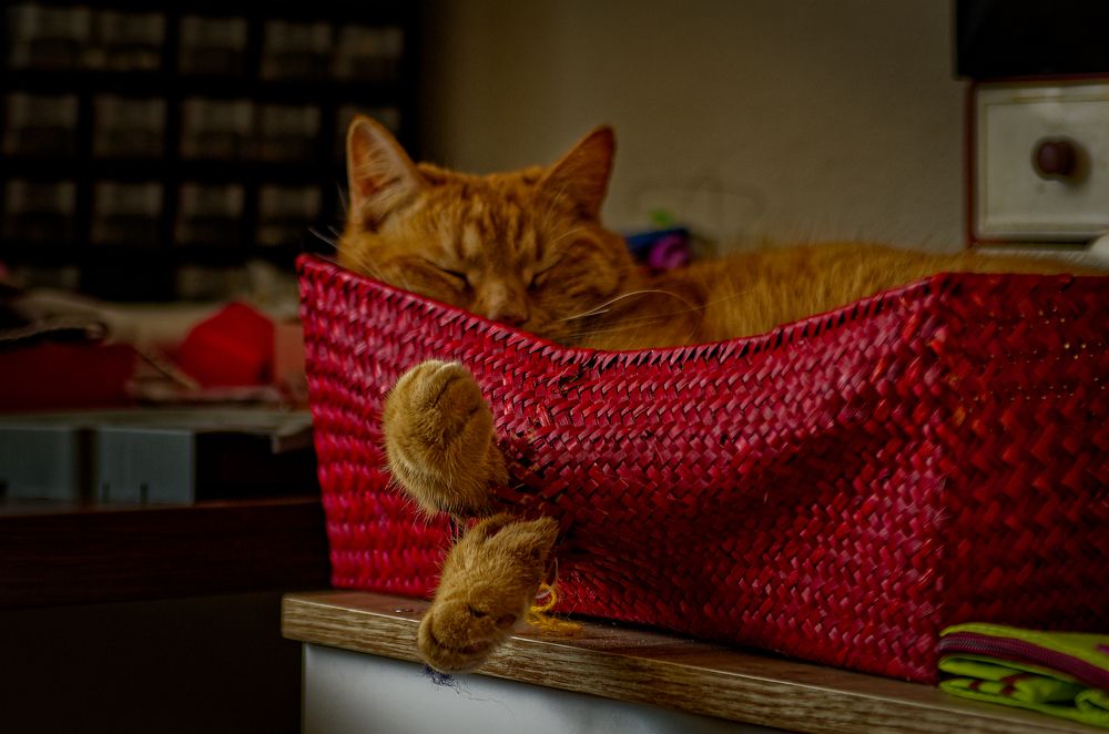 Photograph by Aleksei Degtjarjov