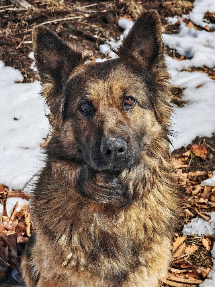 Photograph by Катерина Тулина