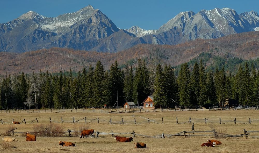 Фотография автора Андрей Ильков