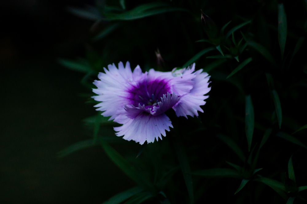 Photograph by Ilyin Evgeny