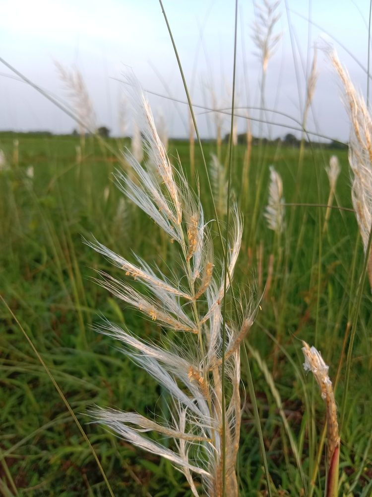 Photo #9771434