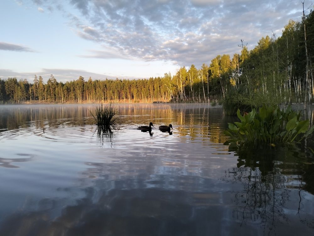 Photo #9771450
