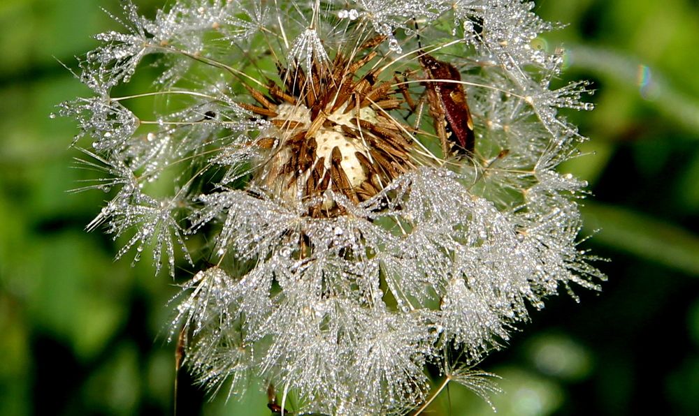 Photograph by Жанна Нечаева