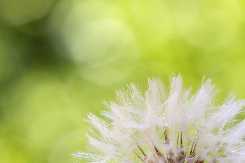 Photograph by Rania Elturky