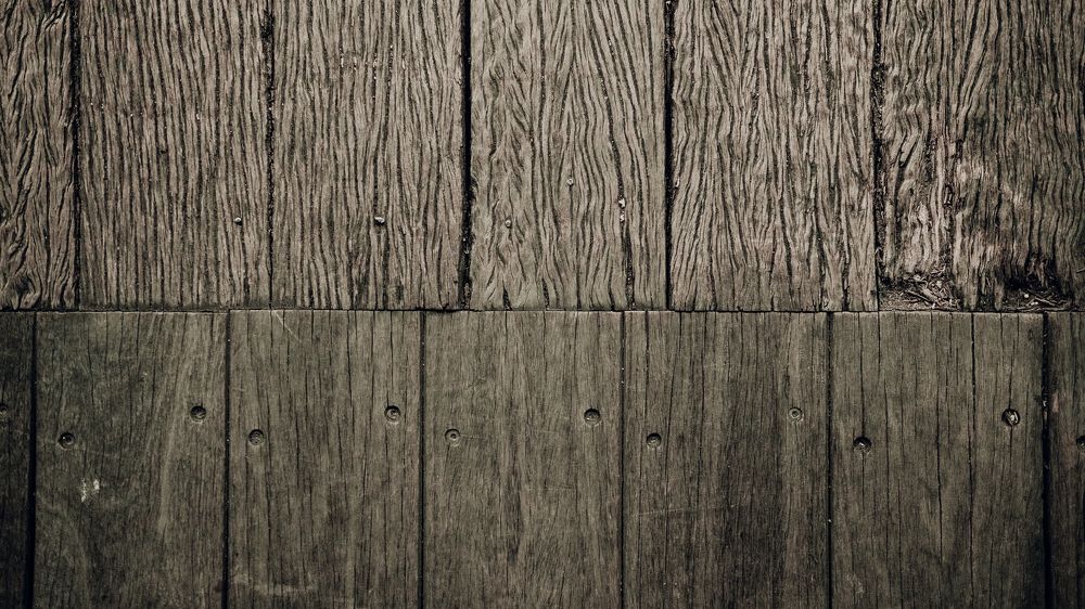 Photograph by Danil Shipulin