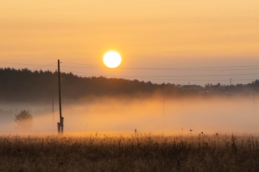 Photograph by Алексей Путилов