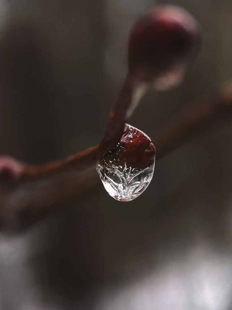 Photograph by Татьяна Кузнецова