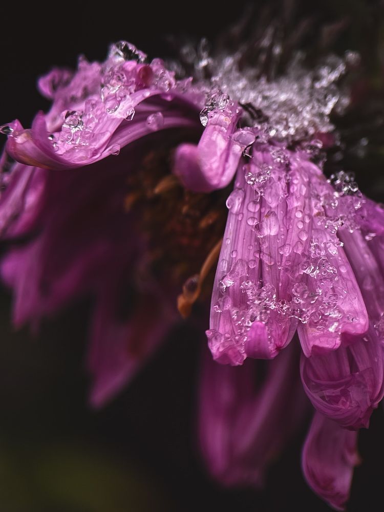 Photograph by Татьяна Кузнецова