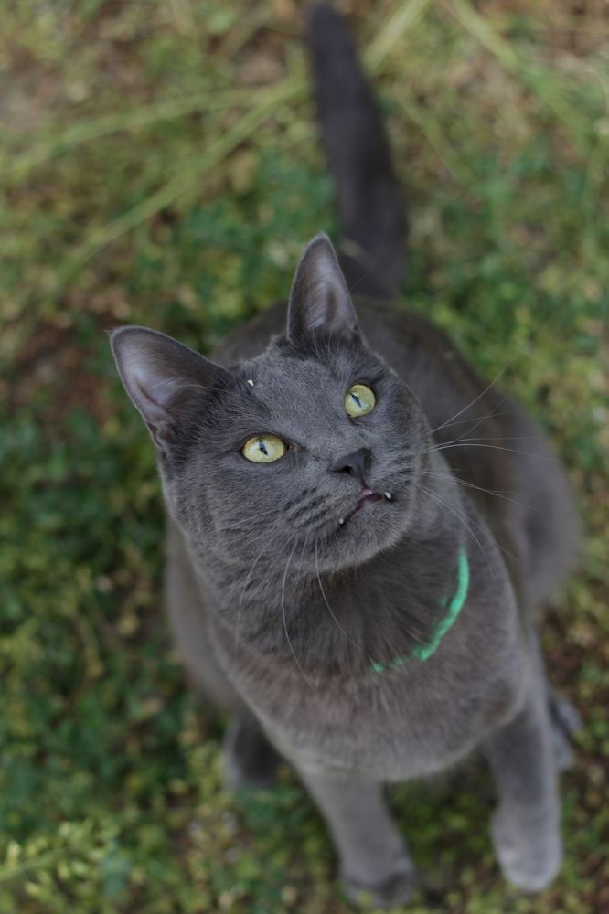 Photograph by Anna Sovetova