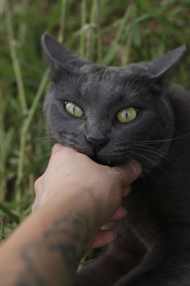 Photograph by Anna Sovetova