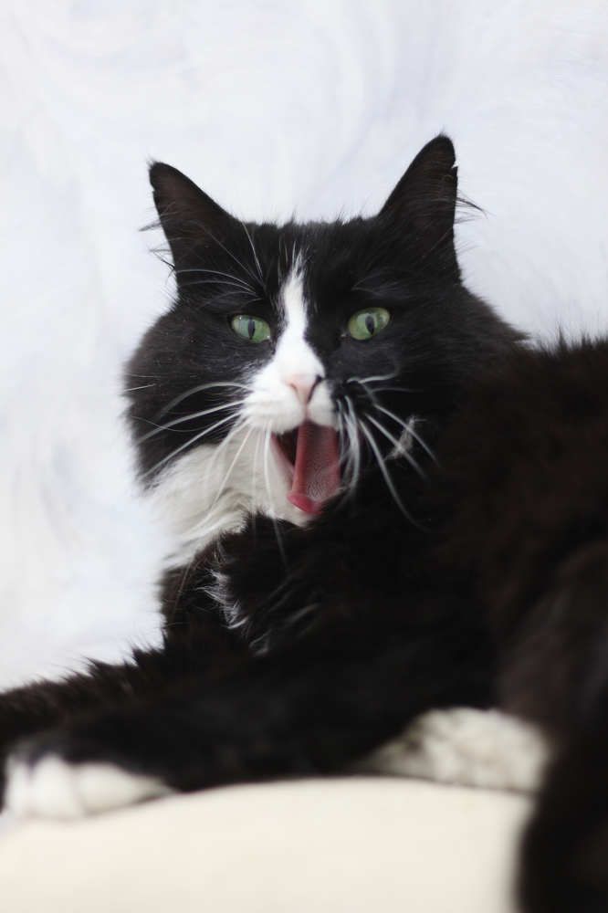 Photograph by Anna Sovetova