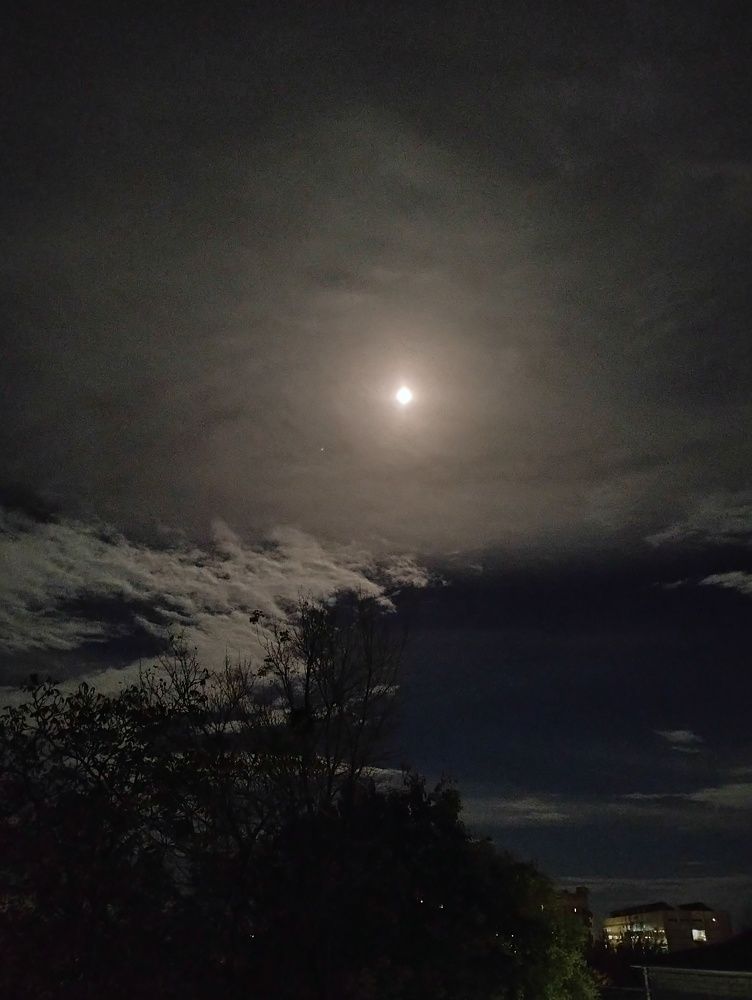 Photo #9771621