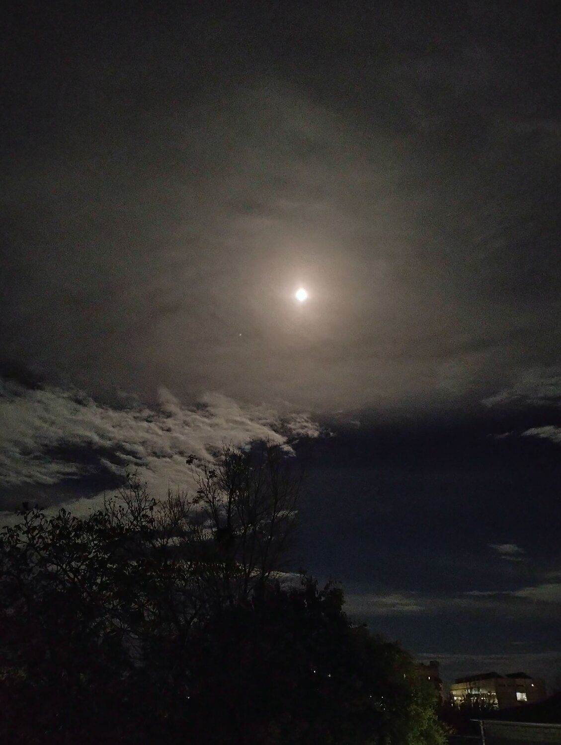 Photo #9771621