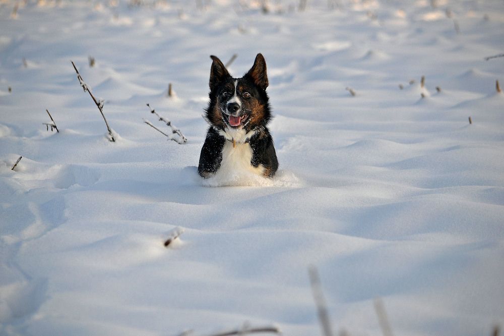 Фотография автора Людмила Капустина