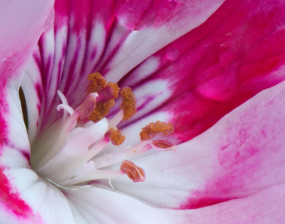 Photograph by Janis Serdienis