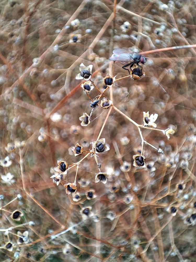 Photograph by Ольга Малина